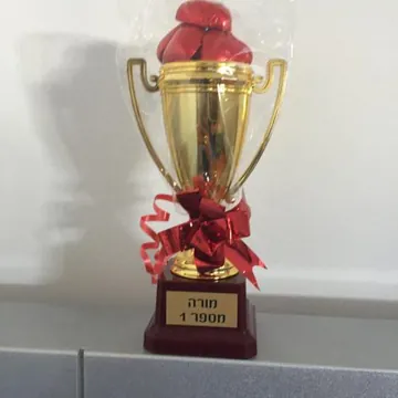 צילום 6 מגלריית שיעורי הנהיגה של תומר שלוש